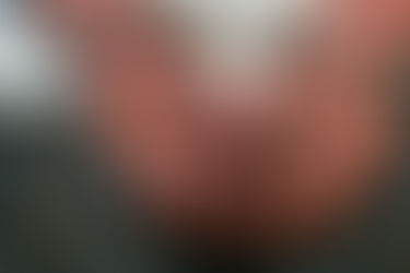 Mãos Limpas, Mãos Sujas