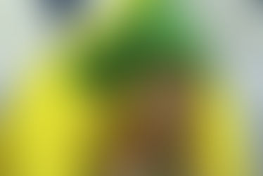 O fantasma do sete a um