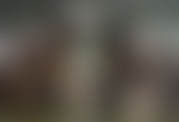 Discutindo a relação