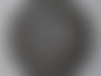 Escudo de desfile de 1570