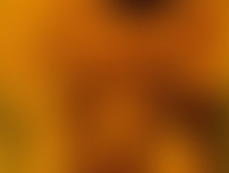 A adoração dos Magos