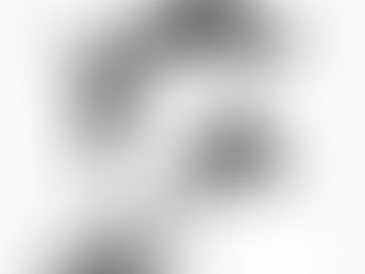 Uma ilustração de A Continuation of a Voyage to New Holland