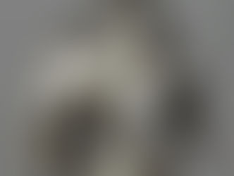 Parte de uma Armadura europeia