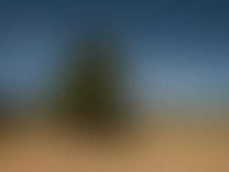 Vale sagrado no estado de Nevada pode se tornar próximo monumento nacional