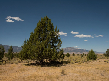Vale sagrado no estado de Nevada pode se tornar próximo monumento nacional
