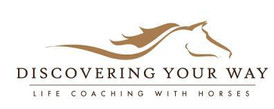 Discovering Your Way