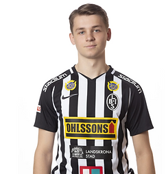 Skärmavbild 2020-12-21 kl. 23.46.38.png