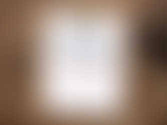 Bijzondere Algemene Ledenvergadering 