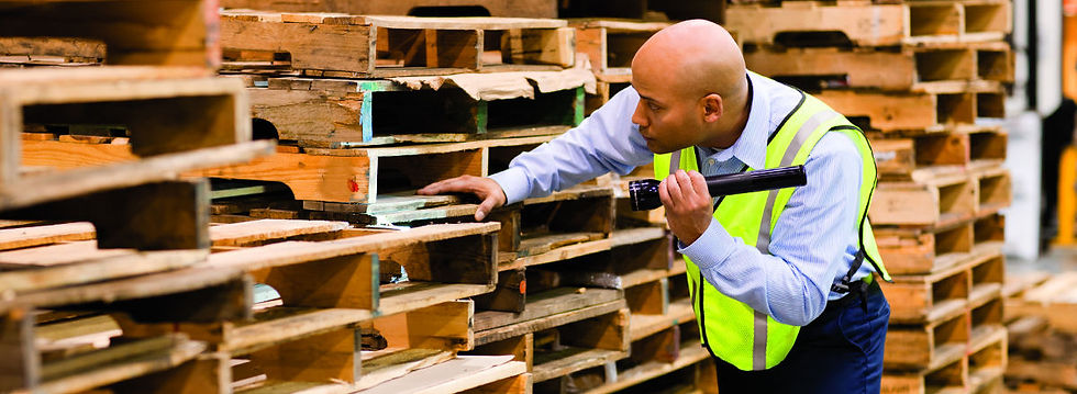 main_warehouse-inspection.jpeg