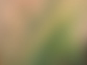 Experience the depth and layers of nature's charm