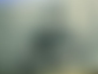 ãªã³ãžãŒã·ã§ã¯ã®ãÅã â é³ãšããŠæ®ã£ãé¿ã