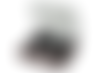 お客様のご感想