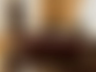 THORENSTD1600 届きました。