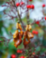 Leaf Earrings : "Orange Autmn"