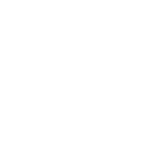 echo-zoo-studios-logo-whiiiite.gif
