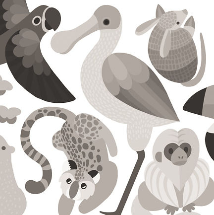 Screen Shot 2022-07-04 at 4_edited.jpg