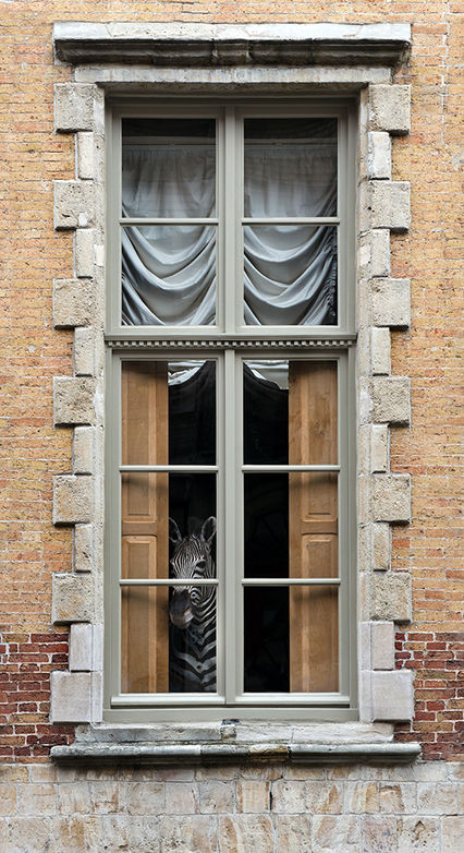 Not an Elephant in the room.jpg