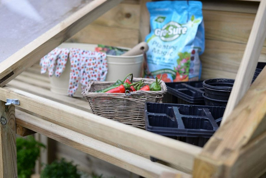 Thumbnail: Mini Greenhouse
