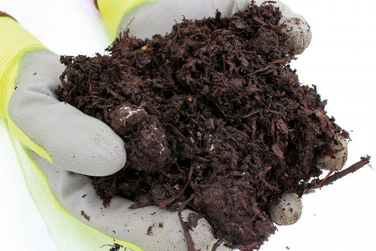 Mushroom Compost Delivered In Bulk | Farnham | Surrey