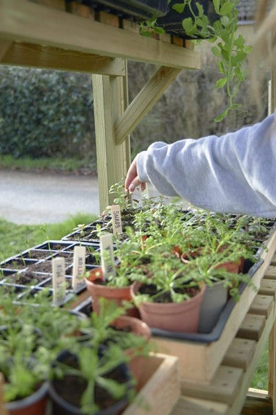 Thumbnail: Vale Greenhouse 6×5