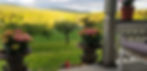 børtegård-blomsterpotte.jpg