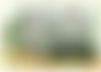 Who’s With The Babe?