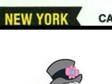 Baseball Card Trivia at Noon:  Christmas Week