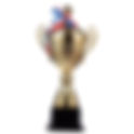 The Best Trophies in Sports (Individual Trophies)