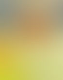 New Years’ Players