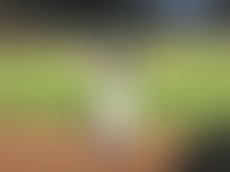 SOM Week: Wells, Catching/DH, and More!