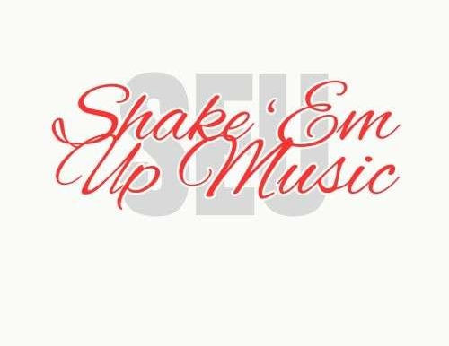 Celebrating Success in Sync Placements and Community Partnerships at Shake 'Em Up Music