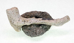 Teasure Pipe.jpg
