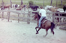 Cowgirl 2.jpg
