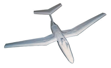 It Will Never Fly 2.jpg