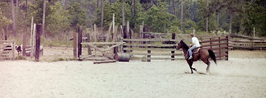 Cowgirl 1.jpg