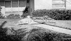 Bridge.jpg