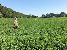 Caren on the Farm 6.jpg