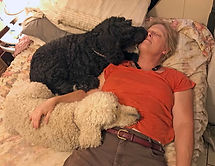 Kids in Bed.jpg