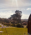 IMG_6230.jpeg