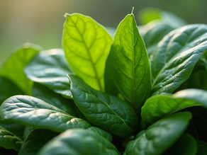 Boost Your Glow: Natural Hacks to Pump Up Collagen Production and Revitalise Your Skin