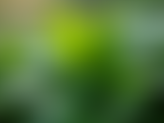 Boost Your Glow: Natural Hacks to Pump Up Collagen Production and Revitalise Your Skin