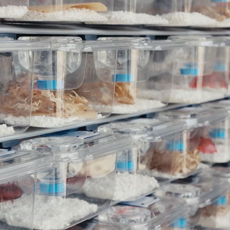 Why Your Vivarium is Secretly Your Building's Biggest Energy Problem and What You Can Actually Do About it