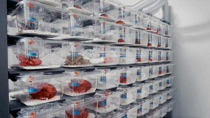 How It Works | Innovive