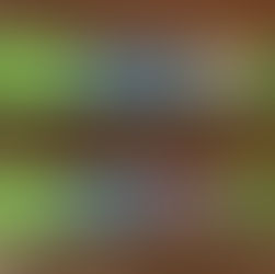 Electrolyte Andros Sport