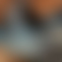 Test : La Sportiva Prodigio Max