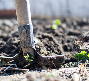 Gardening With Shovel