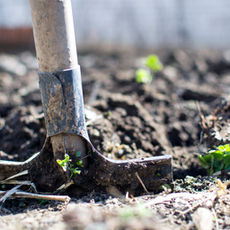 Innovative Weed Control: A Chemical-Free Solution for Sustainable Agriculture