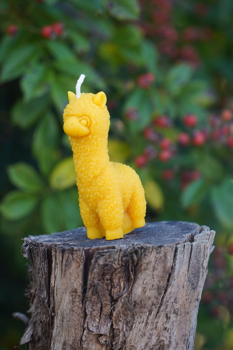 Miniaturbild: Alpaka Kerze - 100% Bienenwachs