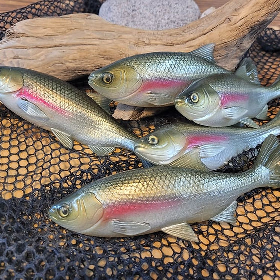 Baits | Hawg Hunter Baits