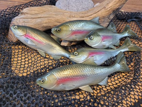 7" Weedless X-Minnow